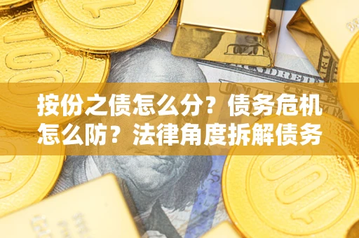 武汉按份之债怎么分？债务危机怎么防？法律角度拆解债务分配与风险自保指南