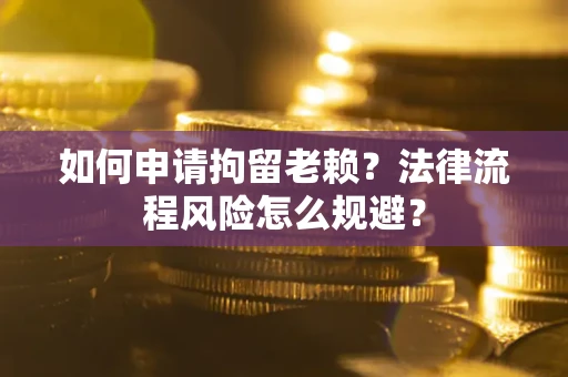 武汉如何申请拘留老赖？法律流程风险怎么规避？