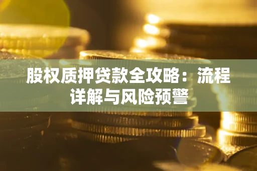 武汉股权质押贷款全攻略：流程详解与风险预警