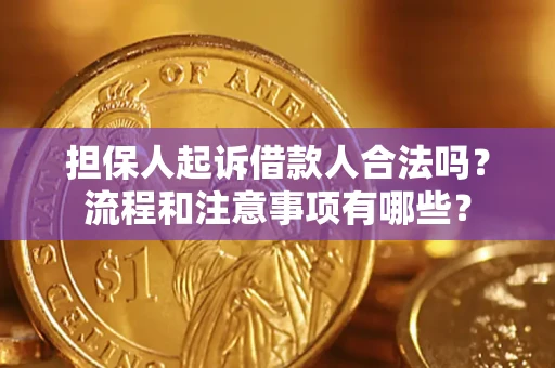 武汉担保人起诉借款人合法吗？流程和注意事项有哪些？