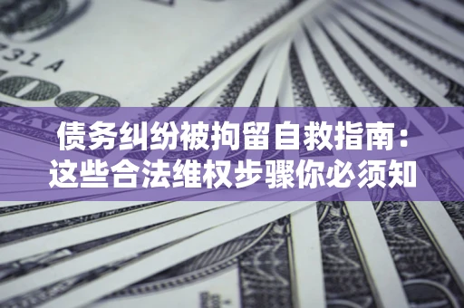 武汉债务纠纷被拘留自救指南：这些合法维权步骤你必须知道！