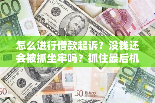 武汉怎么进行借款起诉？没钱还会被抓坐牢吗？抓住最后机会！