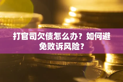 武汉打官司欠债怎么办？如何避免败诉风险？