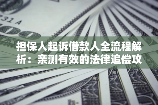 武汉担保人起诉借款人全流程解析：亲测有效的法律追偿攻略
