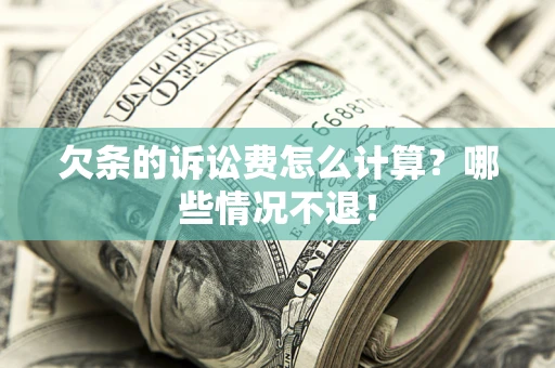 武汉欠条的诉讼费怎么计算？哪些情况不退！