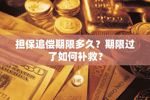 武汉担保追偿期限多久？期限过了如何补救？
