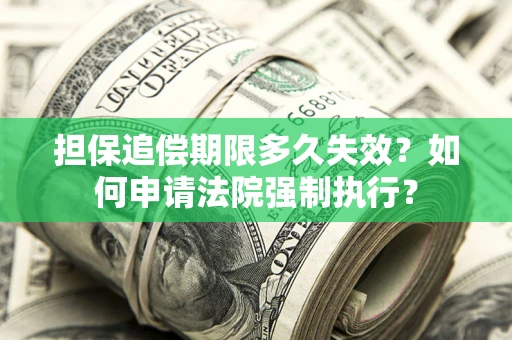 武汉担保追偿期限多久失效？如何申请法院强制执行？