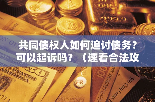 武汉共同债权人如何追讨债务？可以起诉吗？（速看合法攻略）