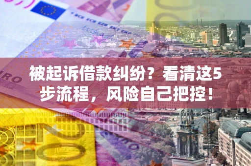 武汉被起诉借款纠纷？看清这5步流程，风险自己把控！