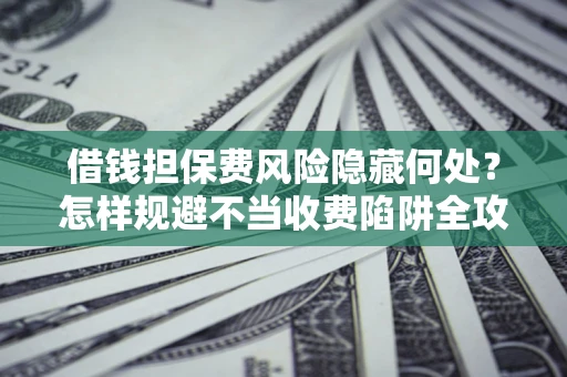 武汉借钱担保费风险隐藏何处？怎样规避不当收费陷阱全攻略！