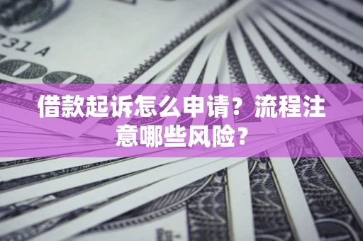 武汉借款起诉怎么申请？流程注意哪些风险？