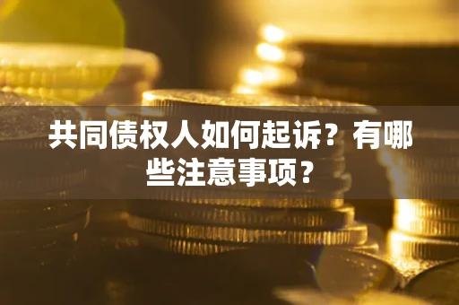 武汉共同债权人如何起诉？有哪些注意事项？